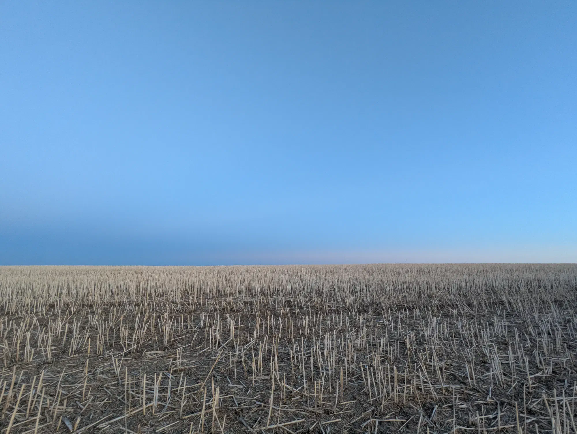 Field